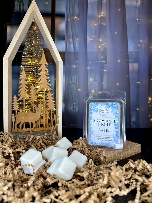 Snowball Fight Wax Melt